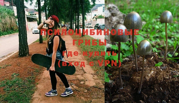винт Богородицк