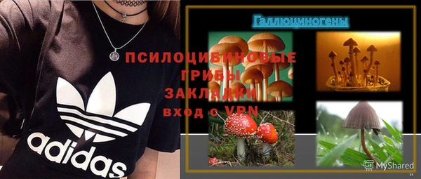 прущая мука Богданович
